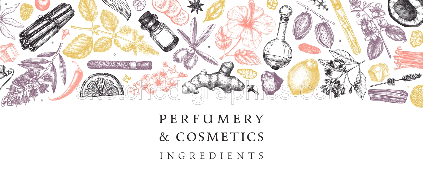 Perfumery and cosmetics ingredients banner. Flower, fruit, spice, herb sketches. Hand drawn vector illustration. Cosmetics design template. Aromatic plants background Illustration